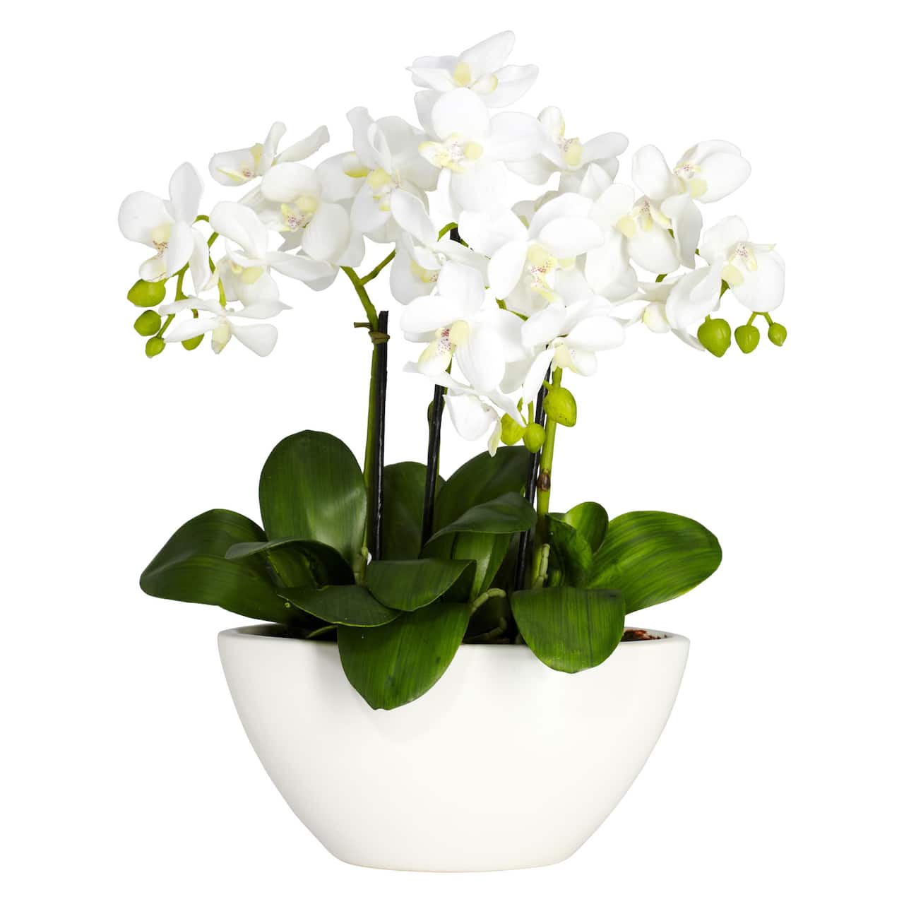 15" Phalaenopsis Arrangement in White Bowl Vase